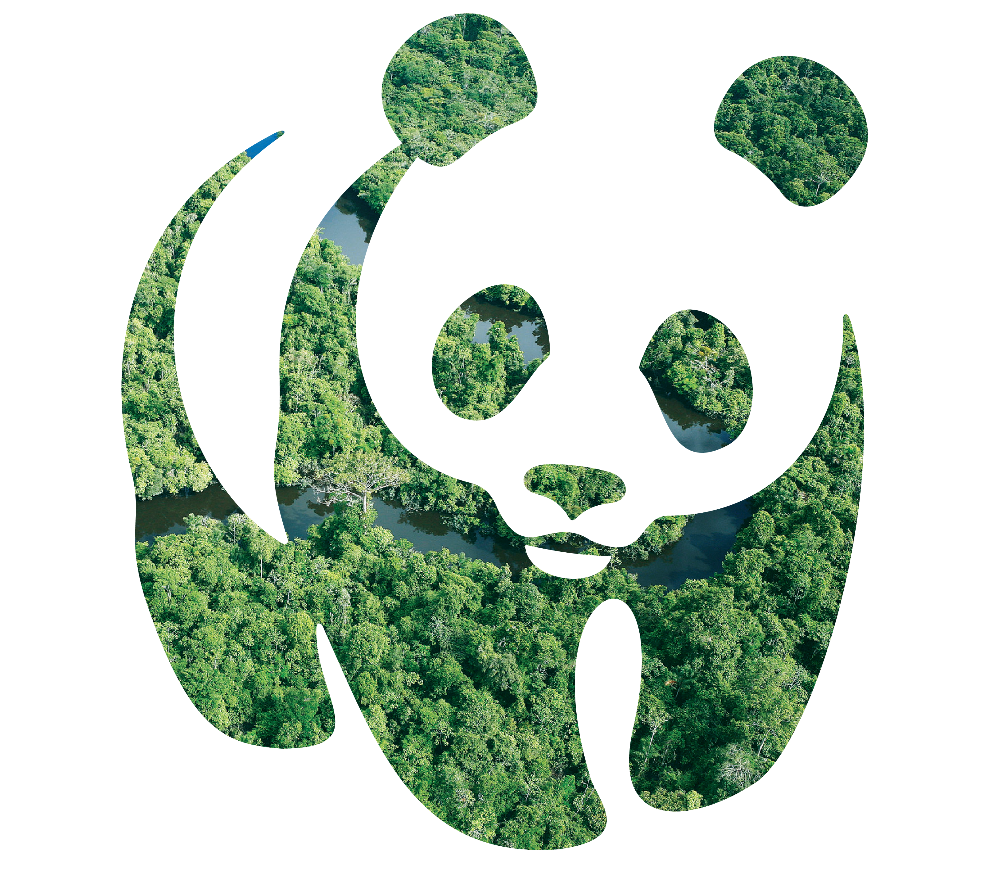 Символ дикой природы. Всемирный фонд дикой природы WWF. Эмблема WWF Всемирного фонда дикой природы. Знак WWF Панда. «Всемирный фонд дикой природы» Швейцария.